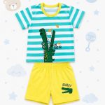 baby t shirt & pant