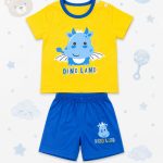 baby t shirt & pant